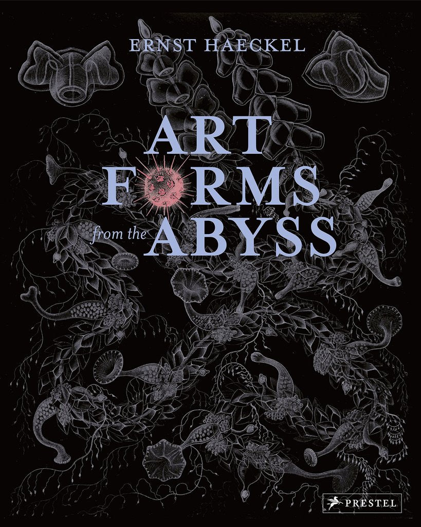 Art Forms from the Abyss: Ernst Haeckel's Images From The Hms 