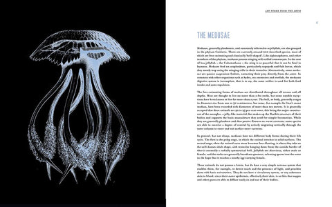 Art Forms from the Abyss: Ernst Haeckel's Images From The Hms Challenger Expedition