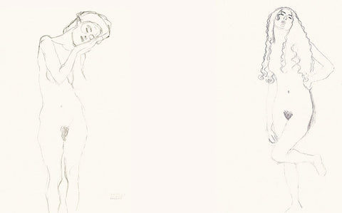 Gustav Klimt: Erotic Sketchbook